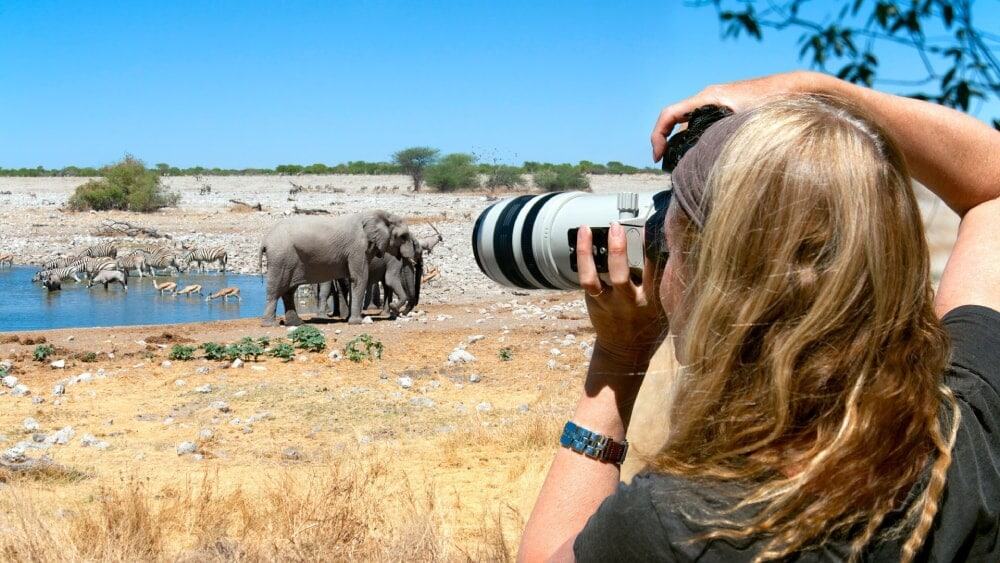Safari fotografico