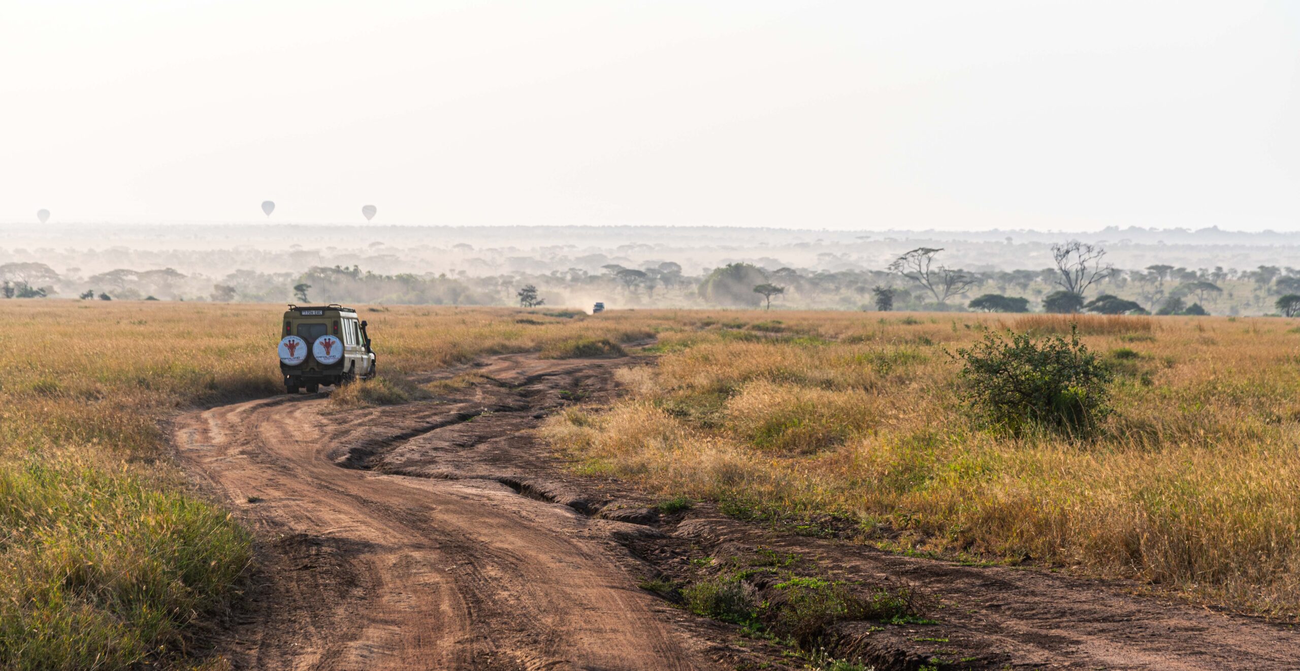 Guida safari Tanzania