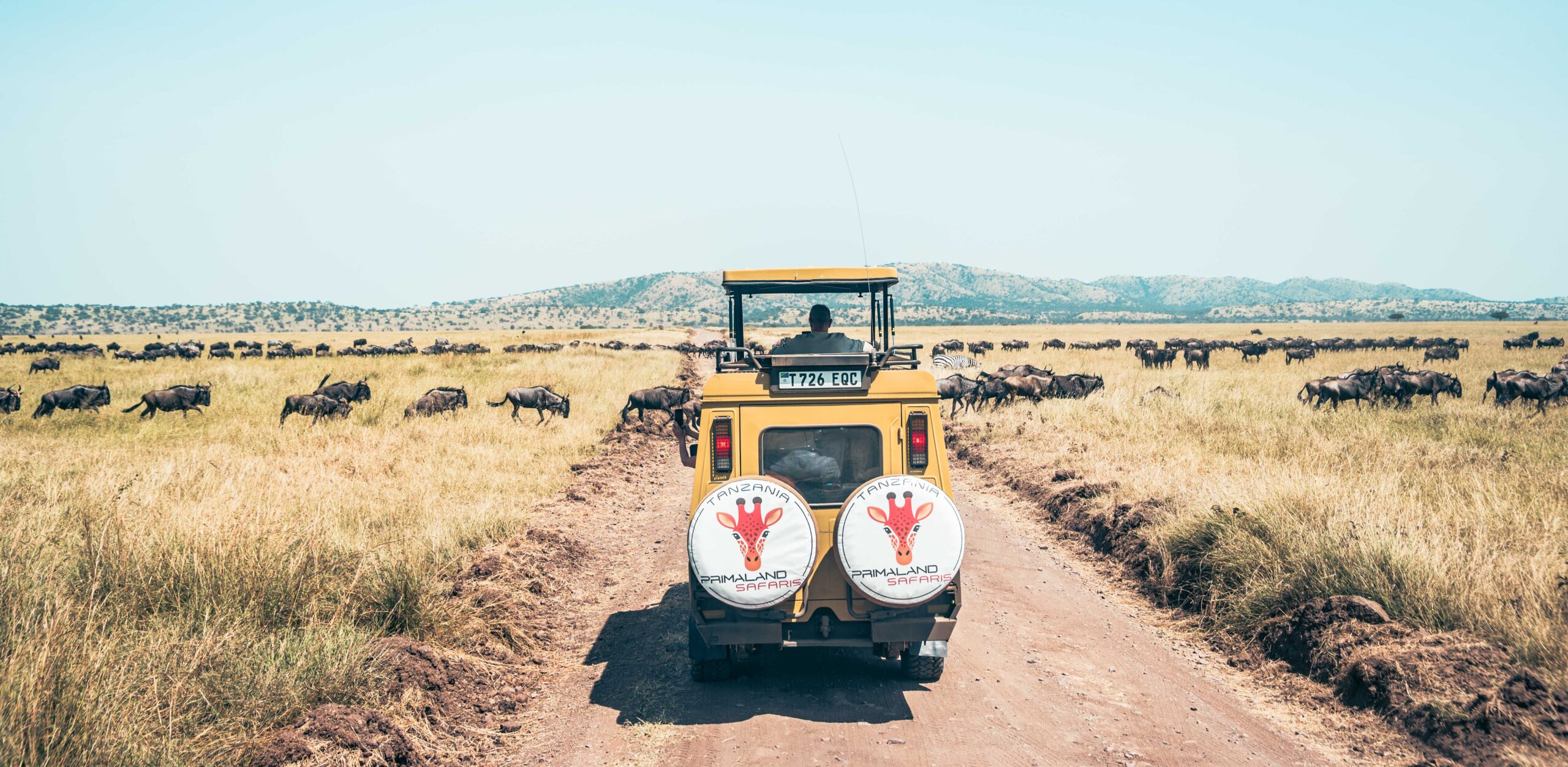 Safari fotografico in Tanzania