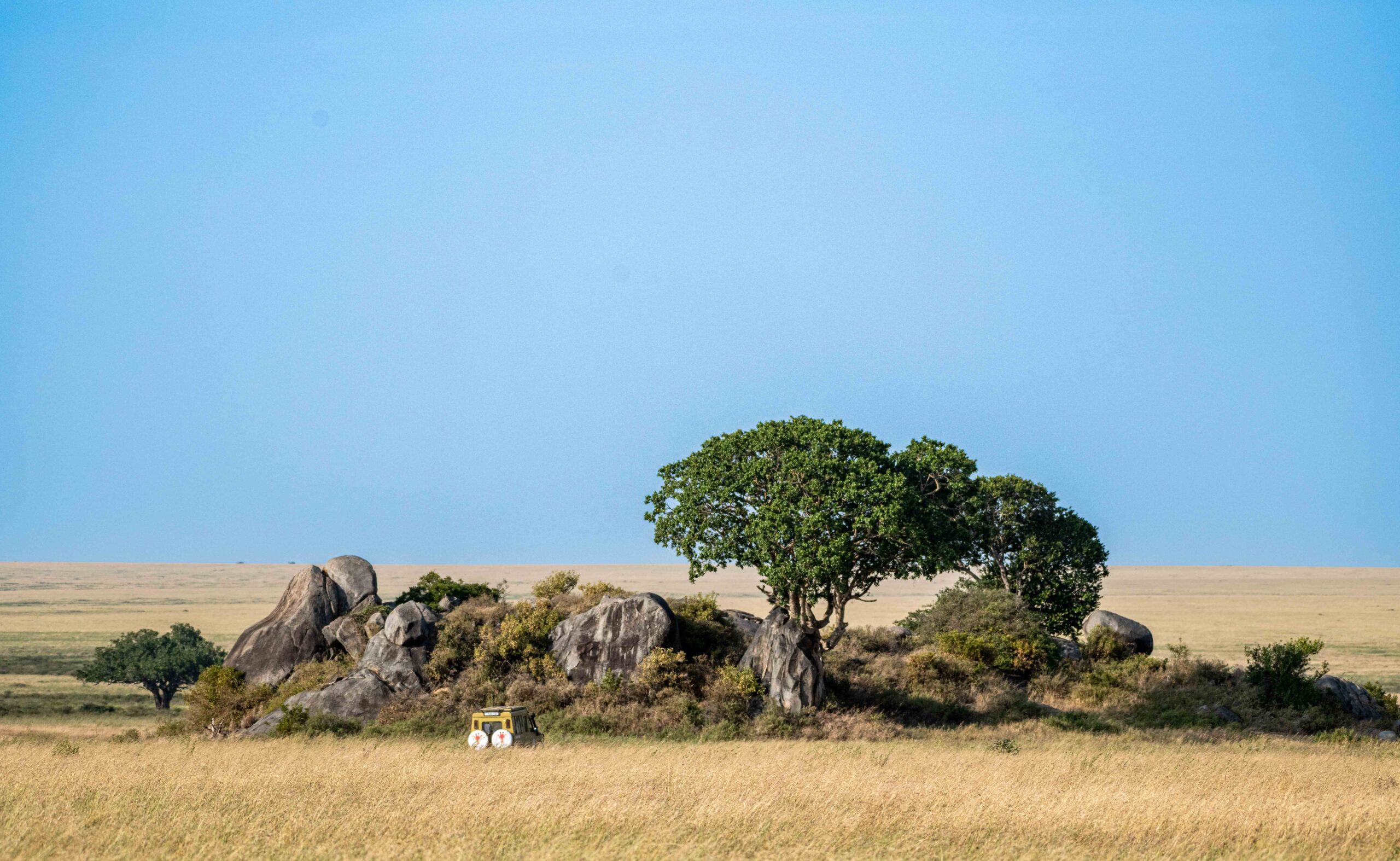 Aeroporto Seronera nel Serengeti con volo interno da Arusha