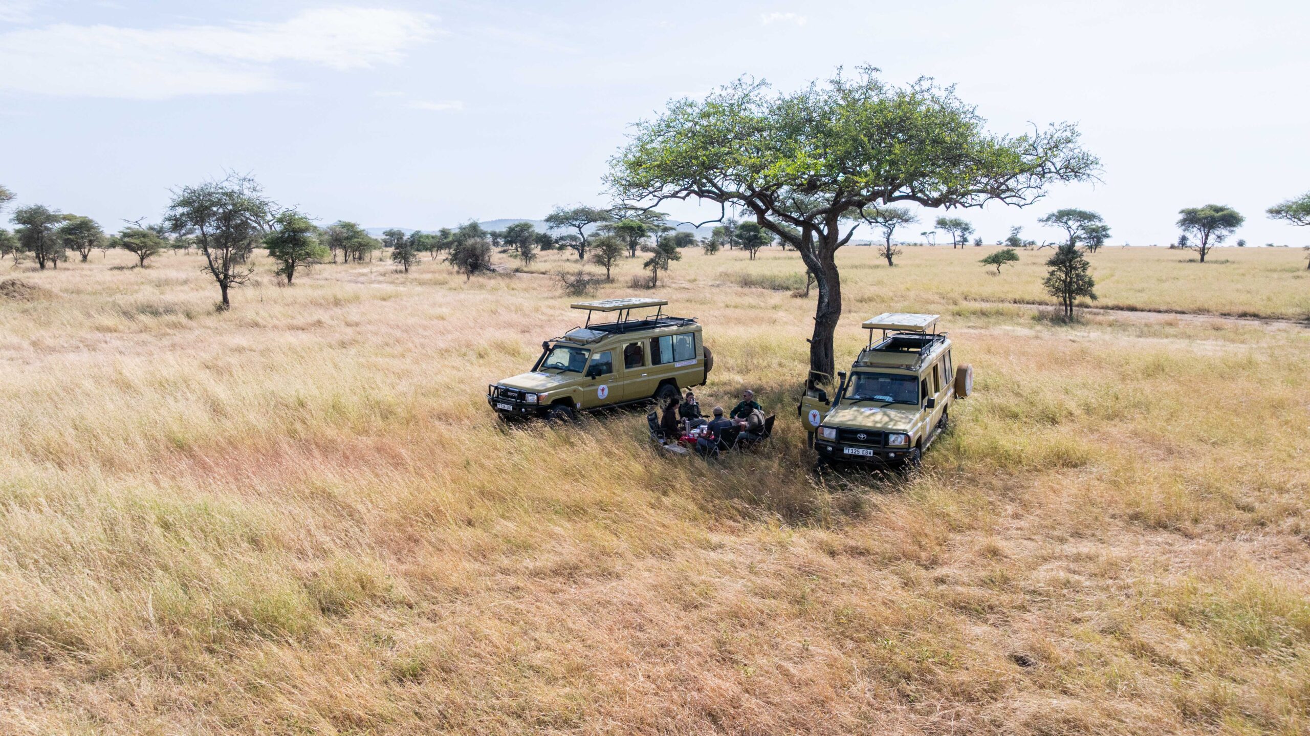 default Guida safari Tanzania