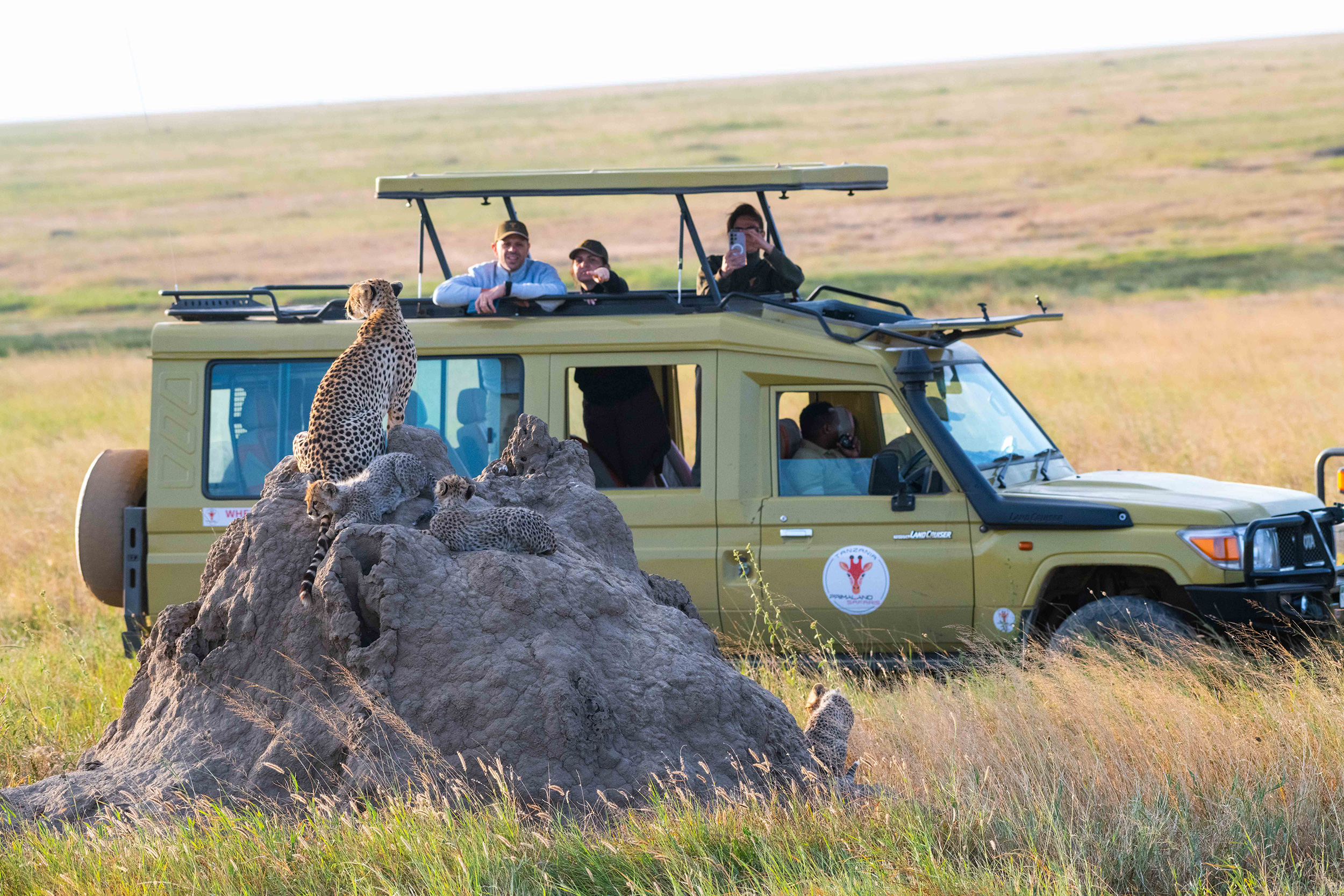 Safari fotografico in Tanzania